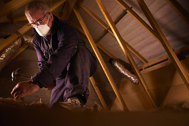 Best Insulation Maintenance and Repair in Waimea, HI