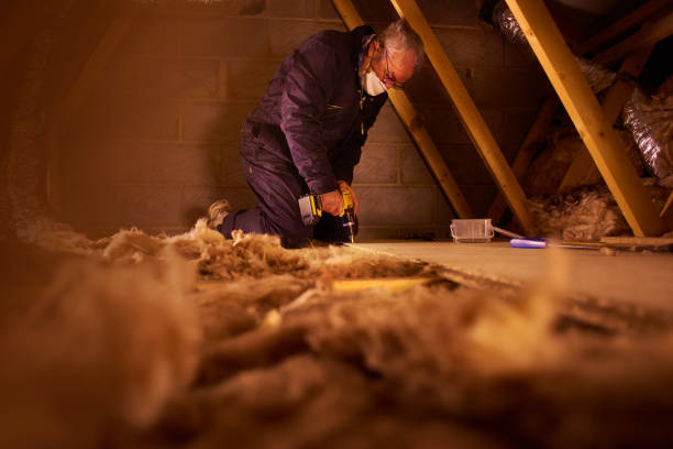 Best Insulation for Specific Applications in Waimea, HI
