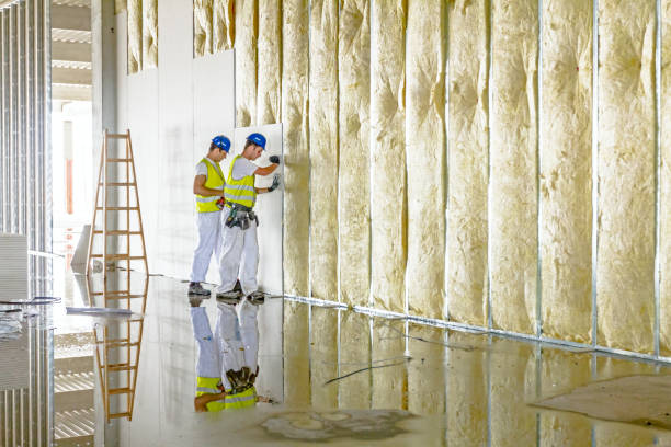 Best Types of Insulation in Waimea, HI